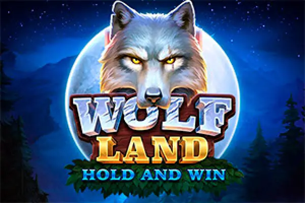 NightBet Casino Casino